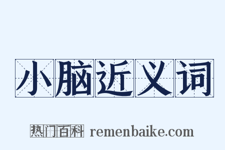 小脑近义词是什么意思的图片